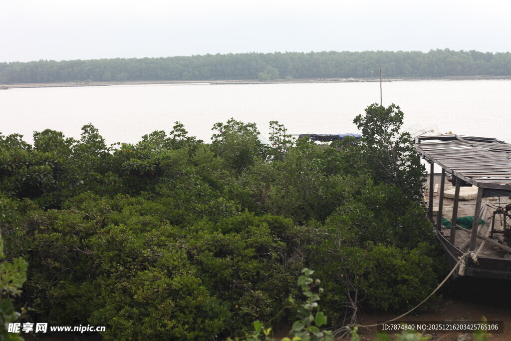湖畔绿树环绕的建筑景观