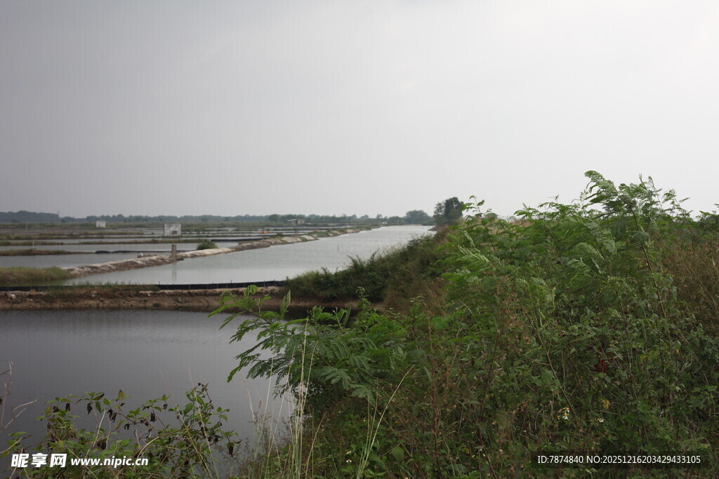 河畔绿植环绕的宁静风光