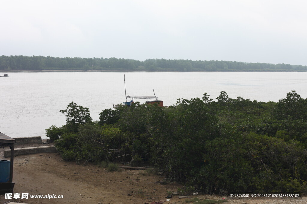 岸边绿植与开阔水域景观