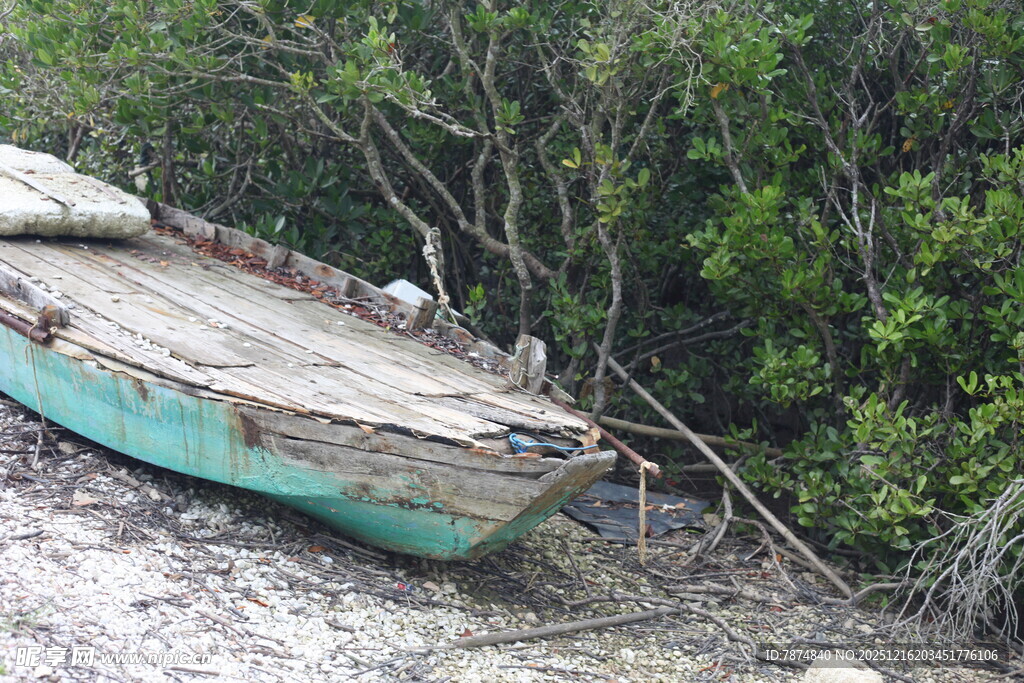 废弃小船搁浅于树林岸边