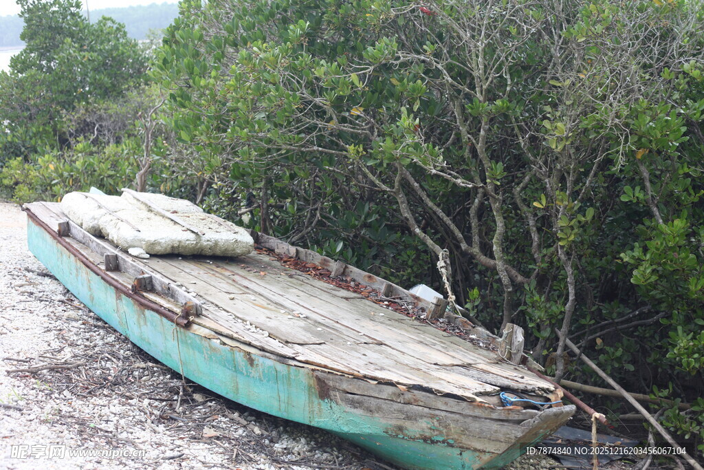 废弃木船静置于绿意环绕处