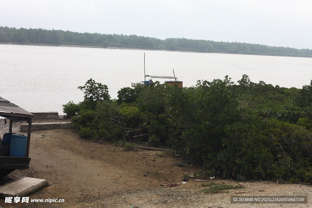 河边绿植与简易设施场景