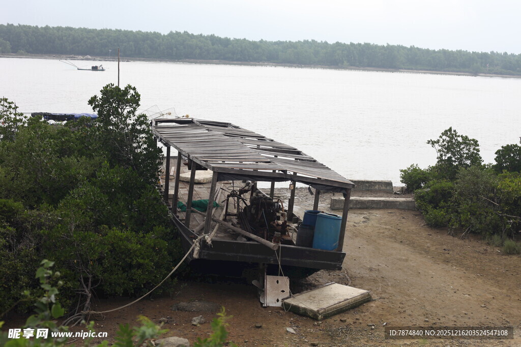 河边废弃船只周边绿意浓