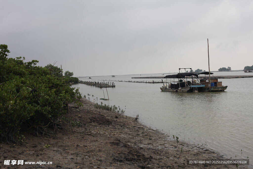 河畔船只与岸边绿植景观