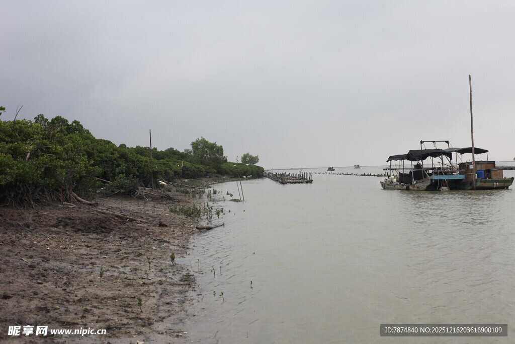 河口船只与岸边植被景观