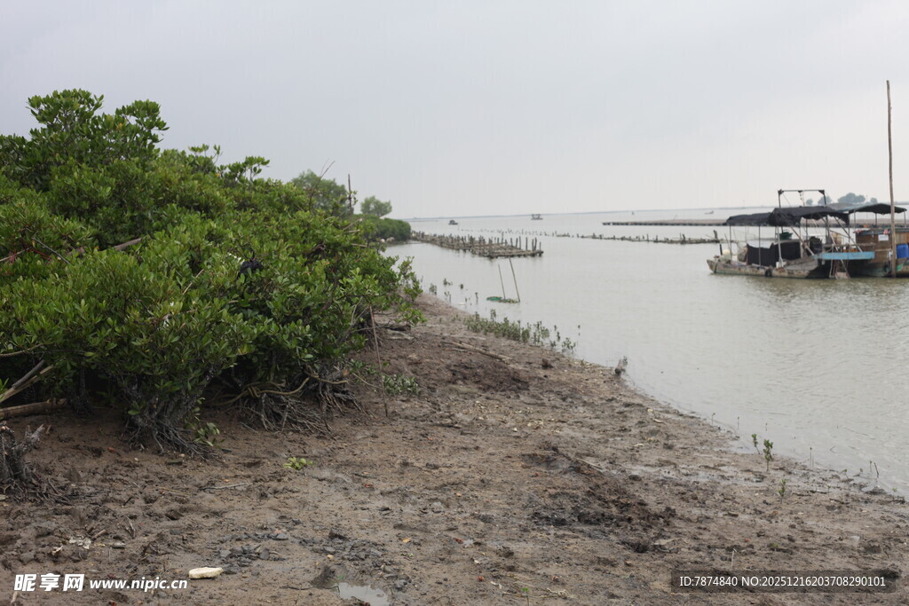 河岸绿植旁停泊的船只
