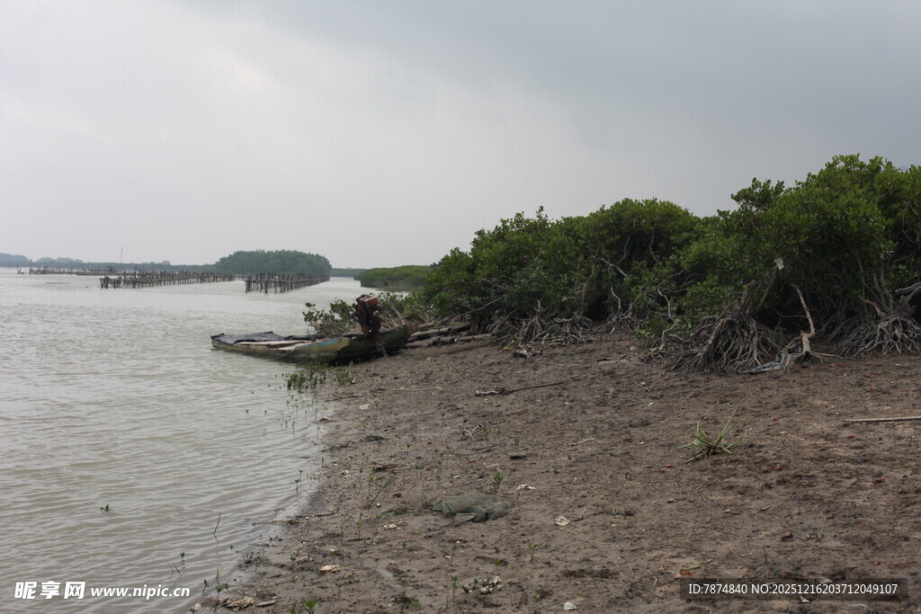岸边停泊小船的自然景致