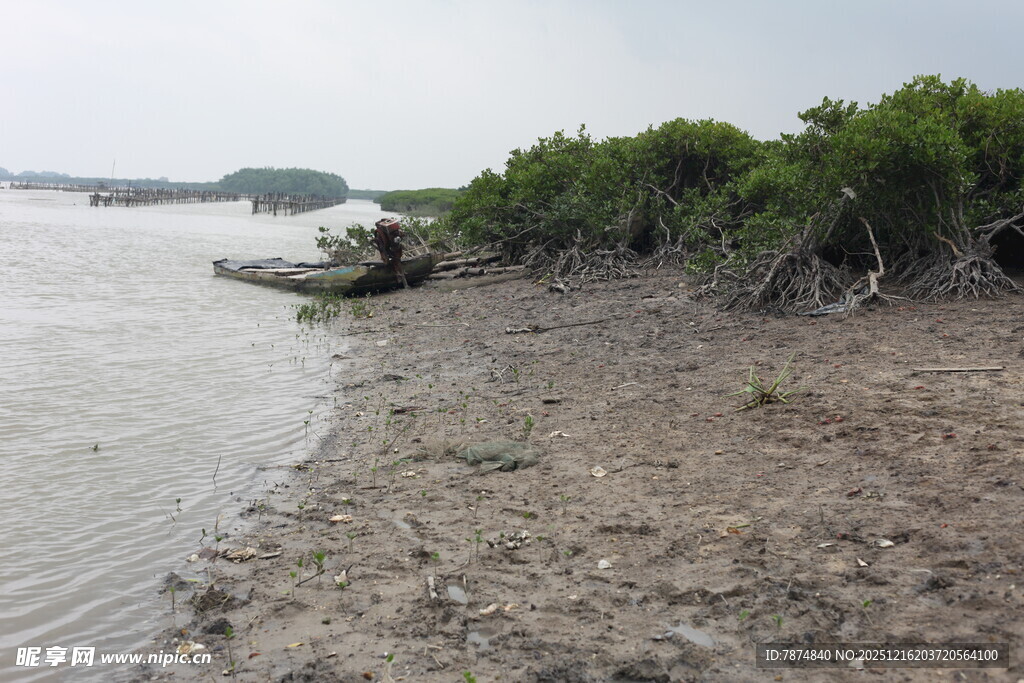 河岸滩涂景象
