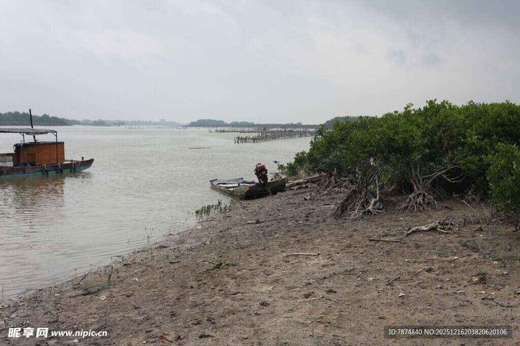 江边小船与岸边植被景象