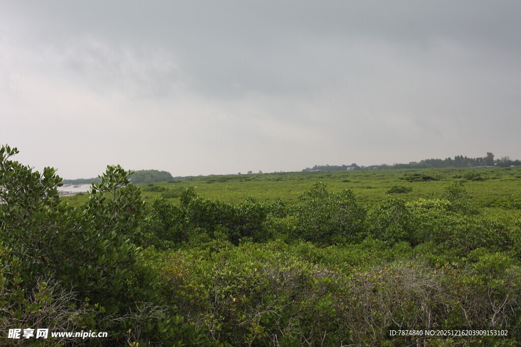 绿野风光云下自然景致
