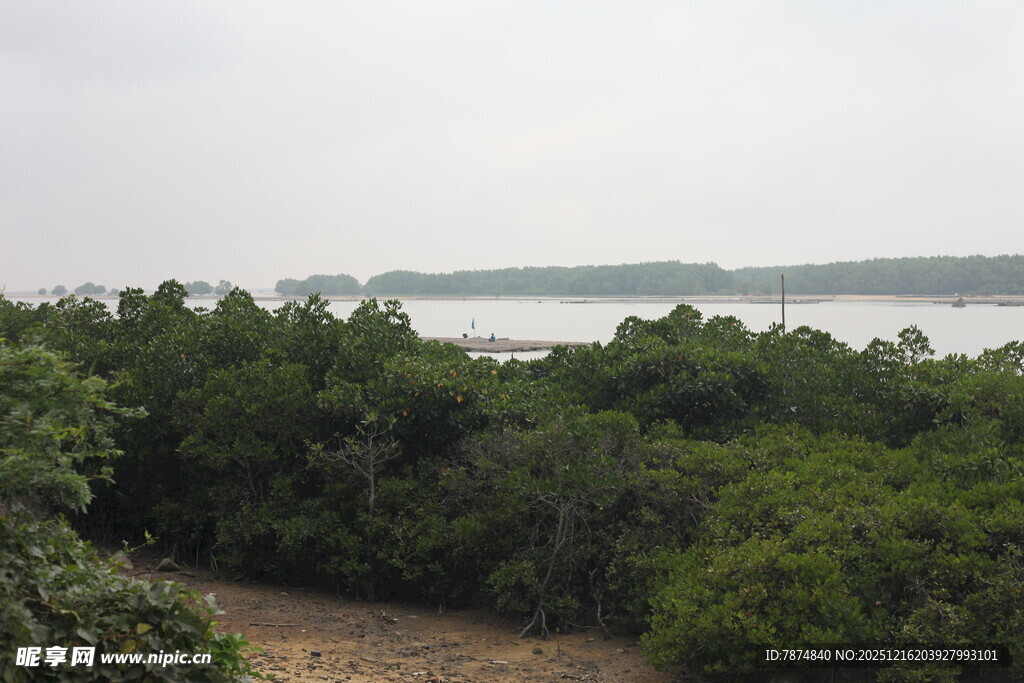 湖畔绿树成荫的自然景致