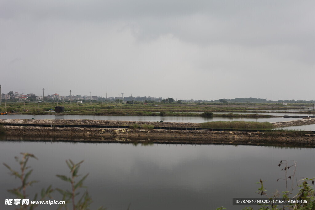 宁静水域边的开阔景致
