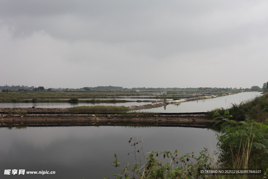 宁静水边田园风光景色