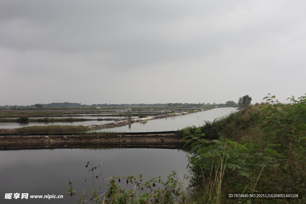 湿地风光水域与植被景观
