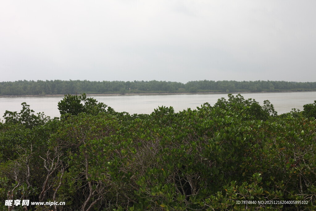 湖畔绿植环绕的宁静景致