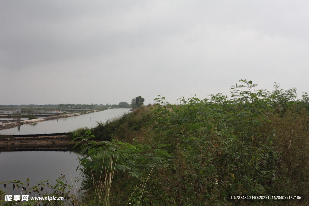 阴天河畔绿植景观