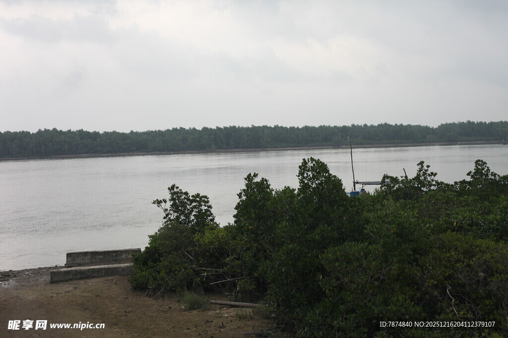 湖畔绿树环绕的宁静风光