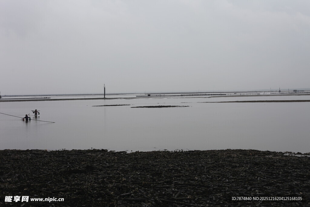 海边浅滩景象
