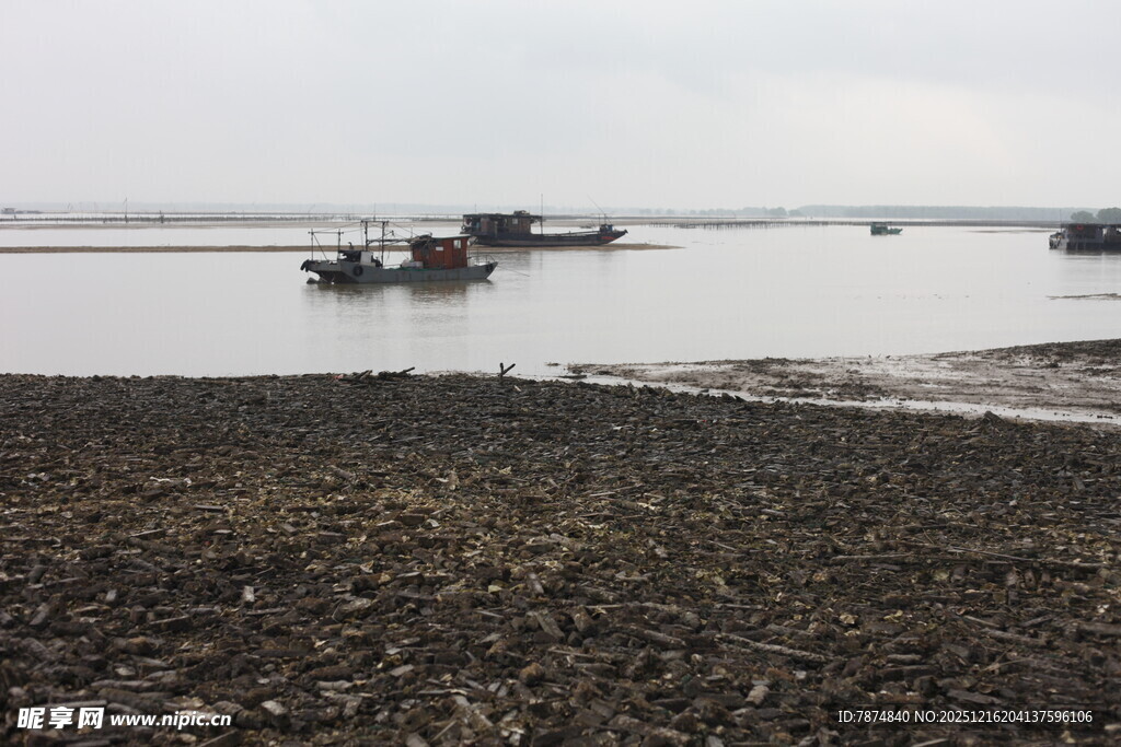 岸边停泊的几艘小船
