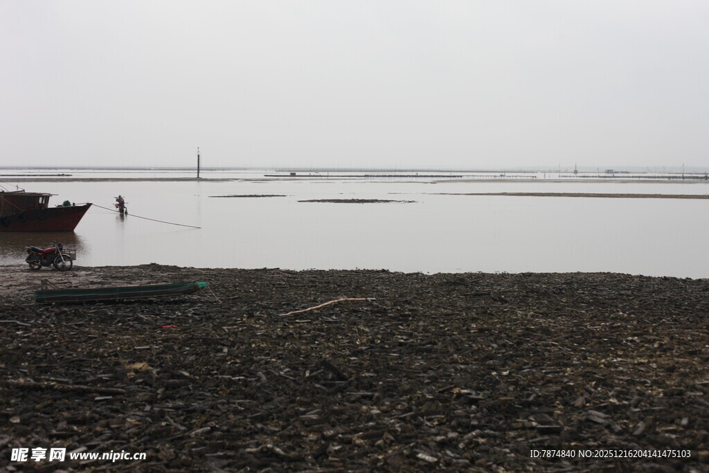 海边滩涂景象