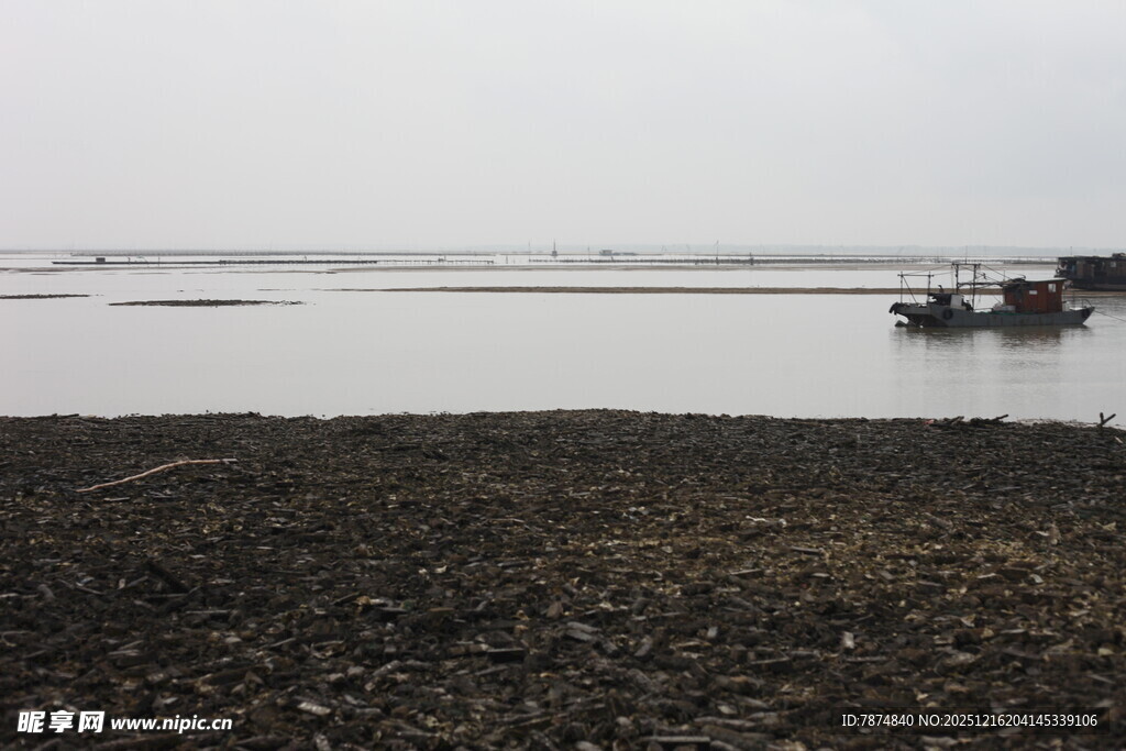 江边滩涂景象