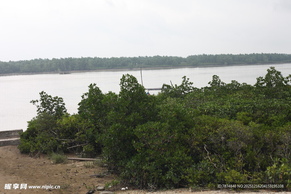 岸边茂密绿植与宽阔水域