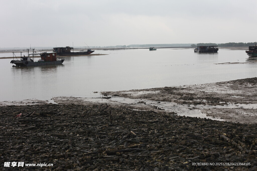 河岸停泊船只的静谧景象