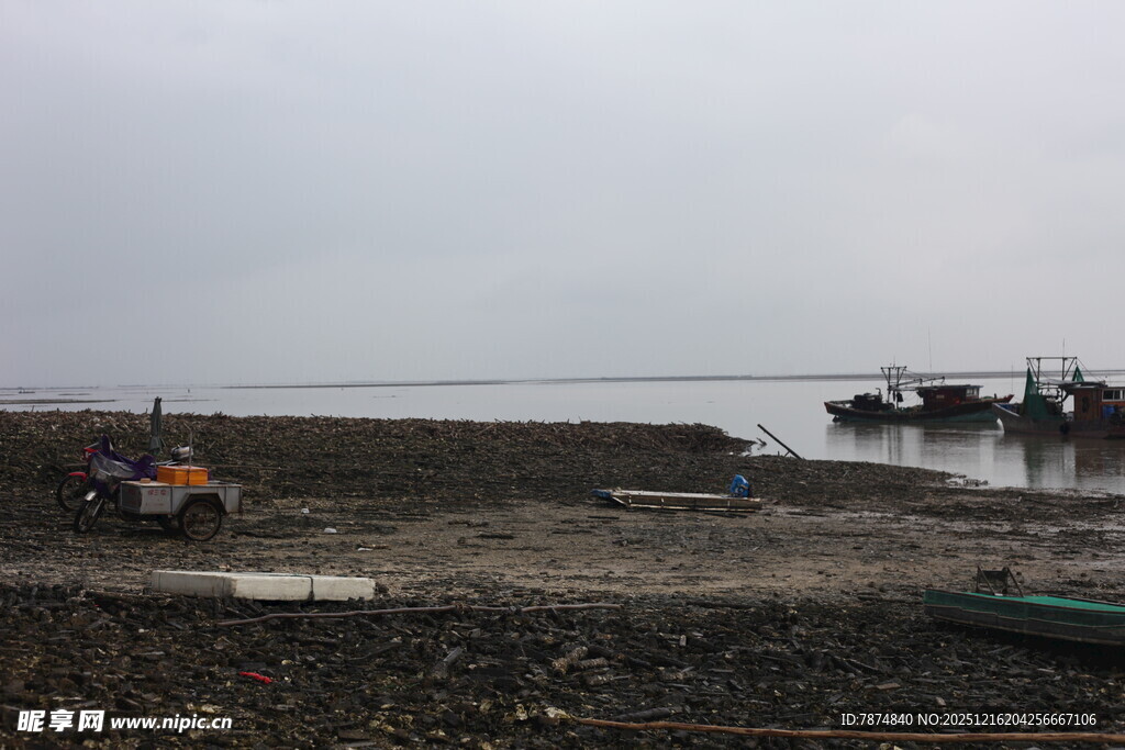 海边停泊船只的宁静场景