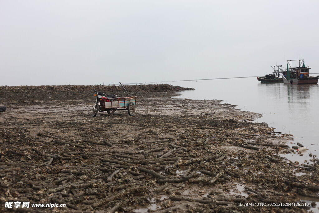 河岸旁的劳作场景
