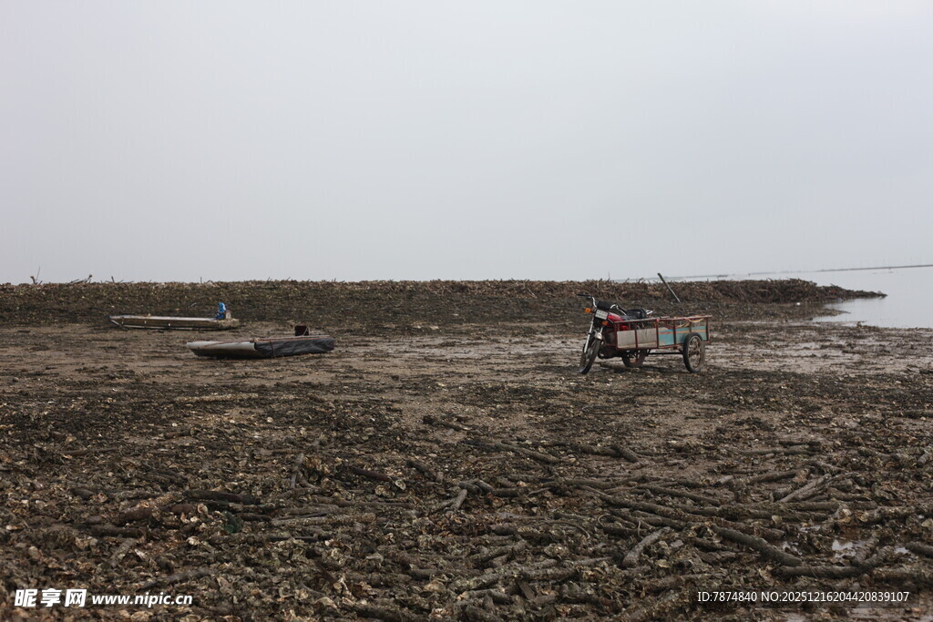 海边滩涂有人劳作场景