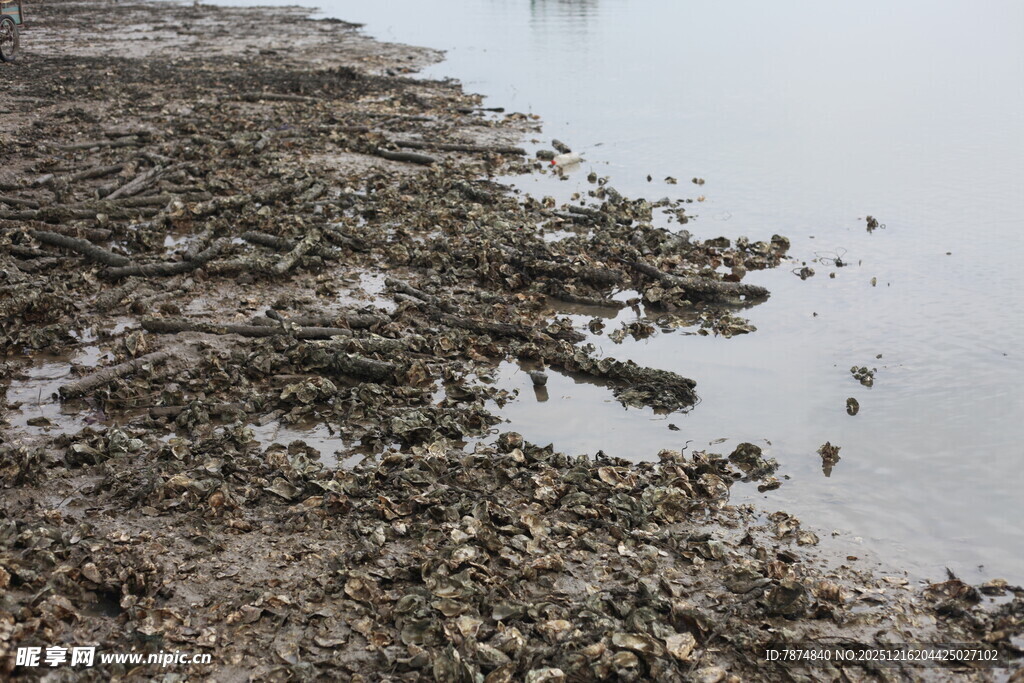 干涸河床现裸露土地