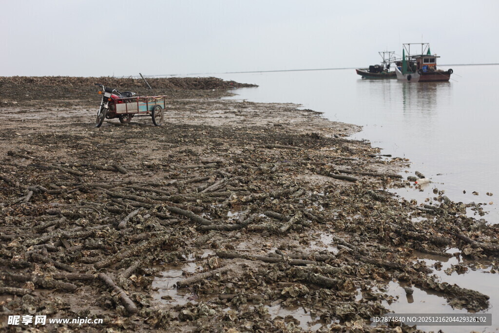 河岸旁的船只与荒芜景象