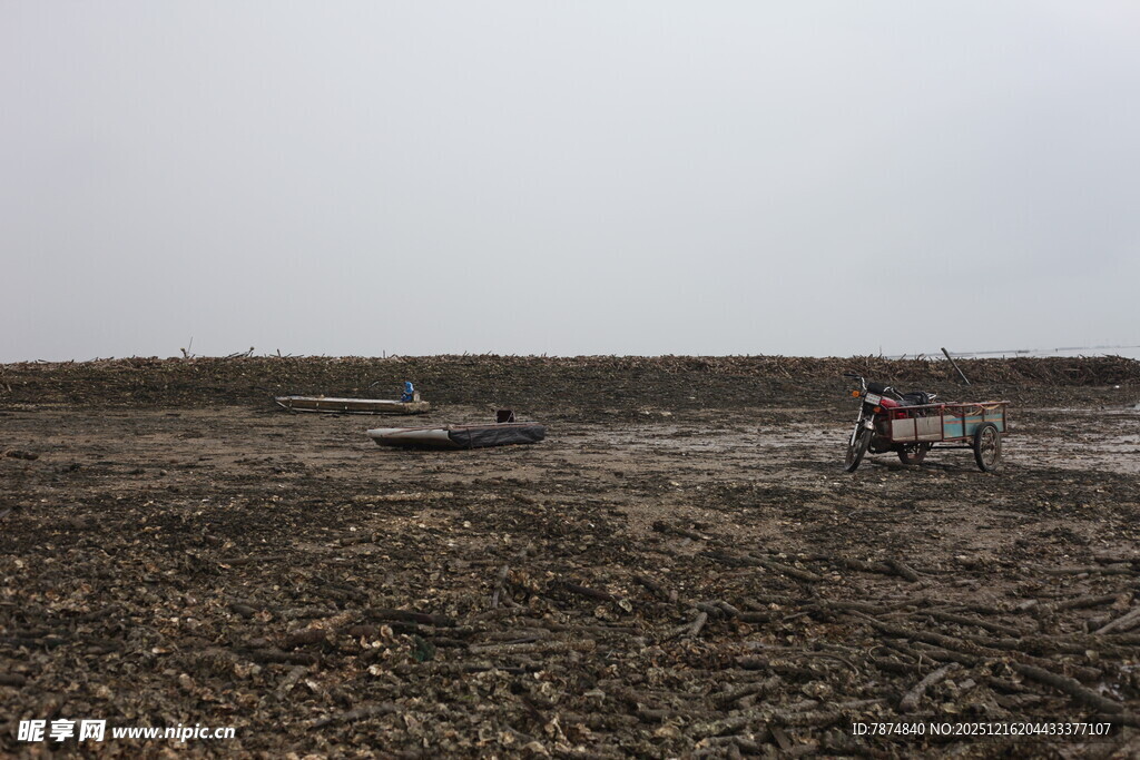 农田里的农机作业场景