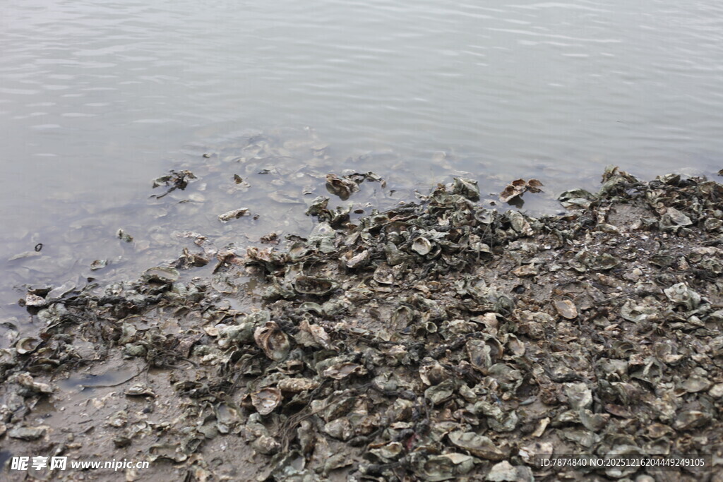 岸边的碎石景观