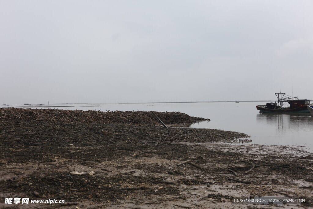 岸边停泊船只的水域景象