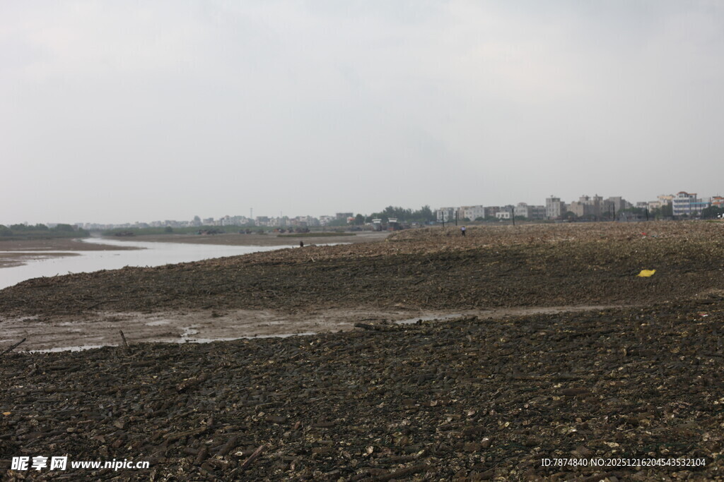 河岸滩涂景象
