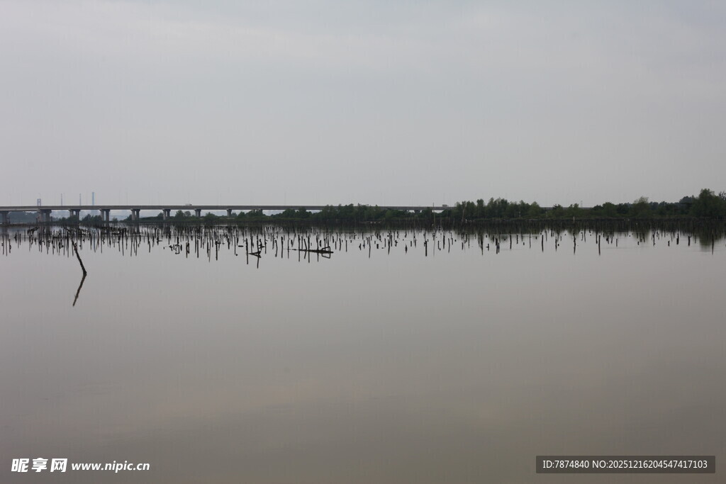 平静湖面与远处桥梁景观