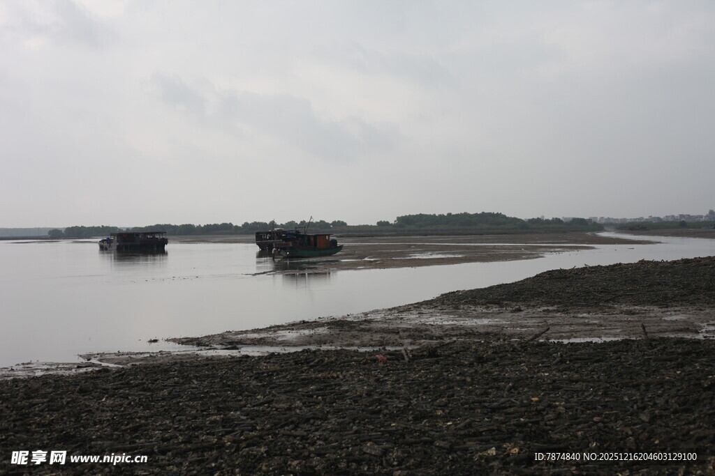 河岸景象水面与岸边景观