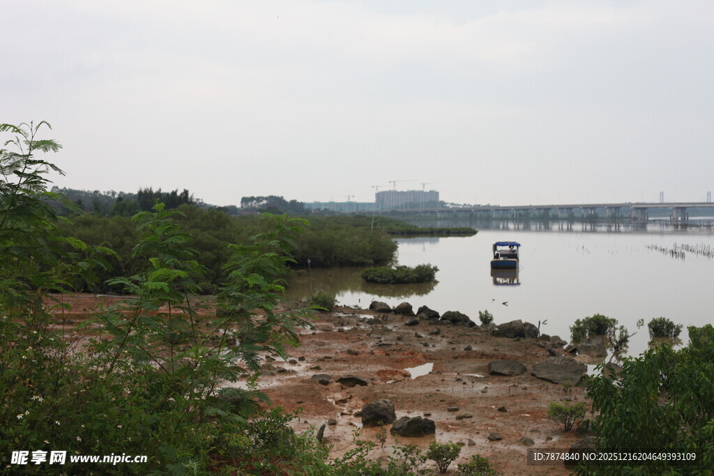 江边自然风光与建筑景象