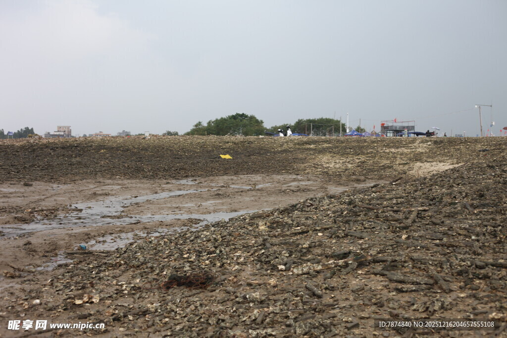 荒地景象地面泥泞且荒芜