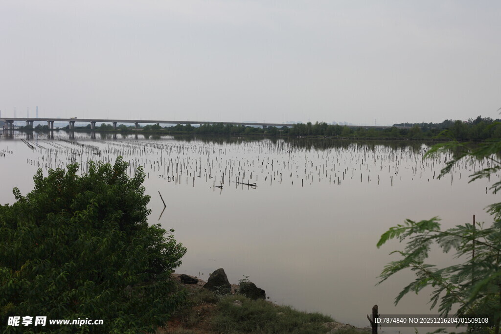 雨中水域与远处桥梁景观