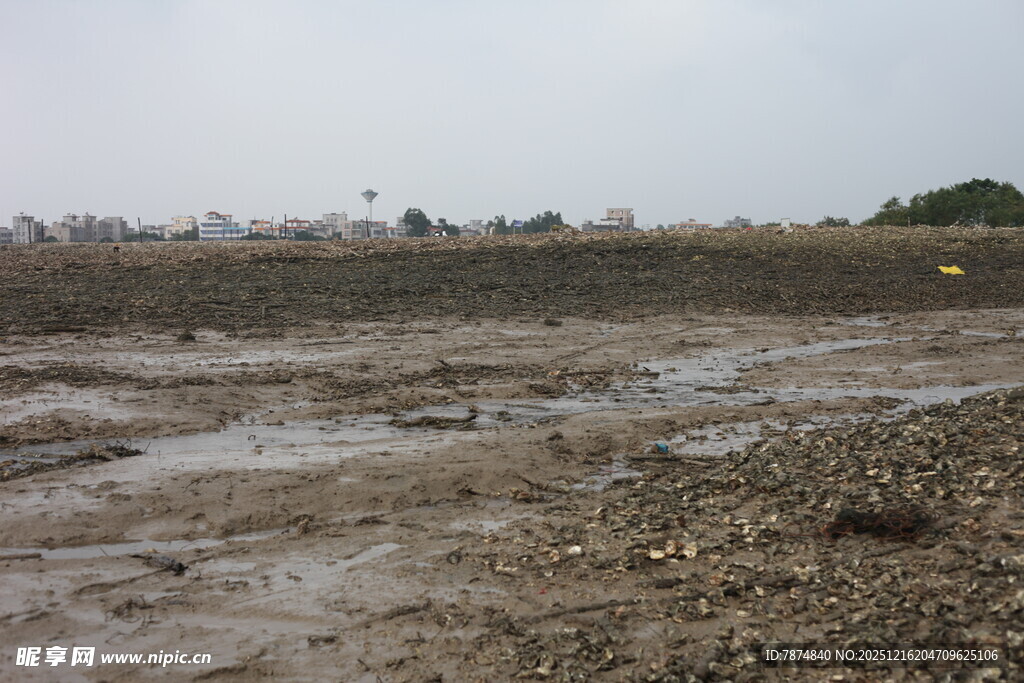 泥泞空旷的户外土地场景