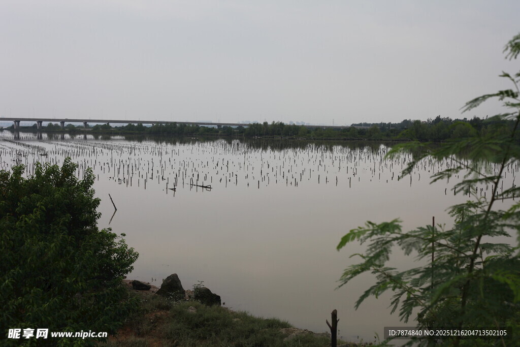 河畔风光绿植环绕的水域