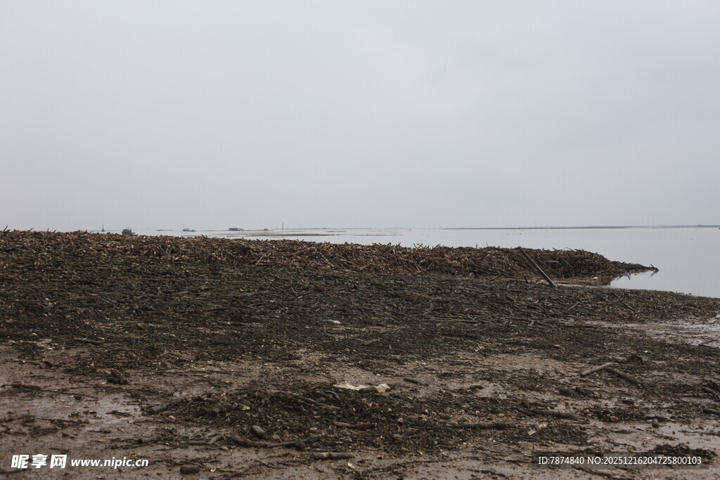 海边泥泞的岸滩景象