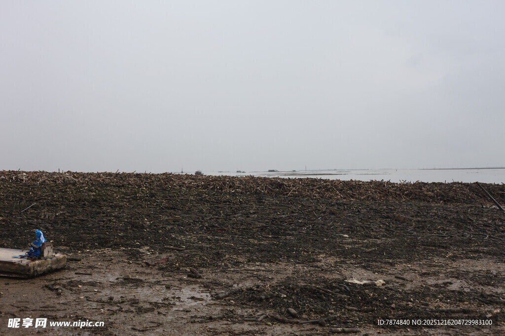 海边滩涂景象