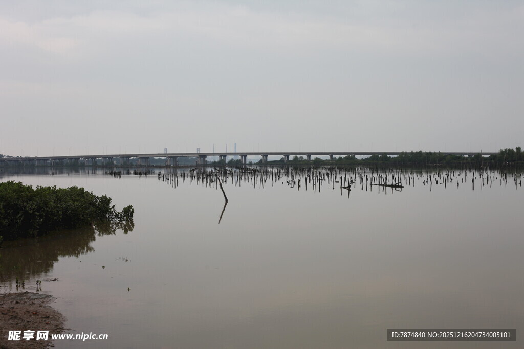 宁静水域与远处桥梁景象