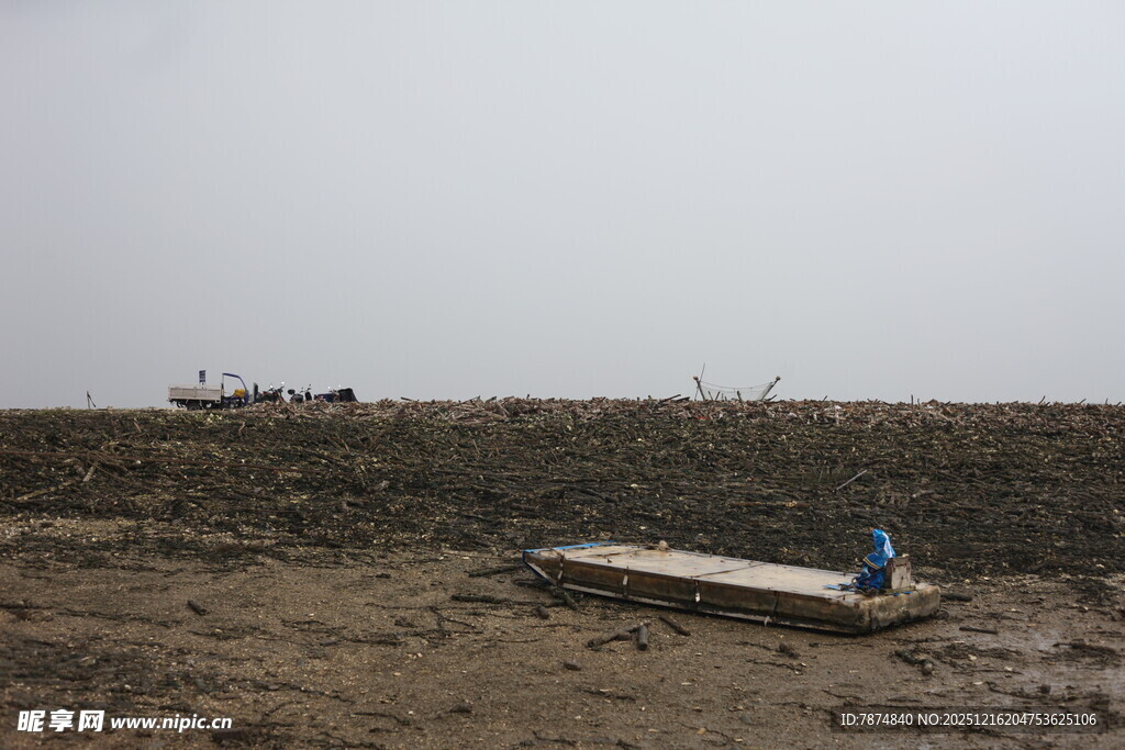 滩涂景象