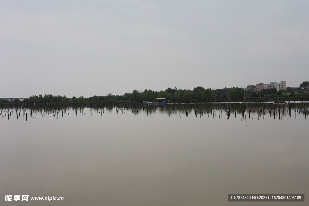 平静湖面与岸边树木景观