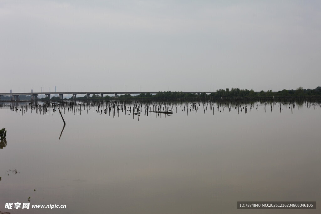 平静水域上的桥梁景观