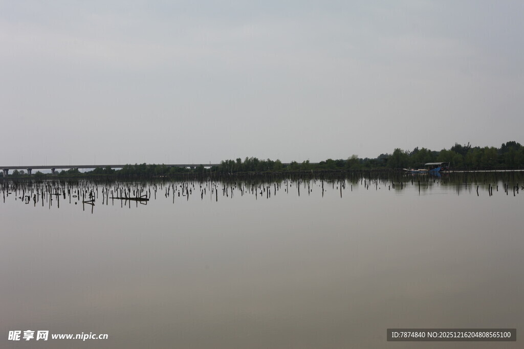 平静湖面与远处树木景观